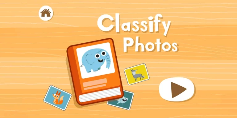 Juego Classify Photos